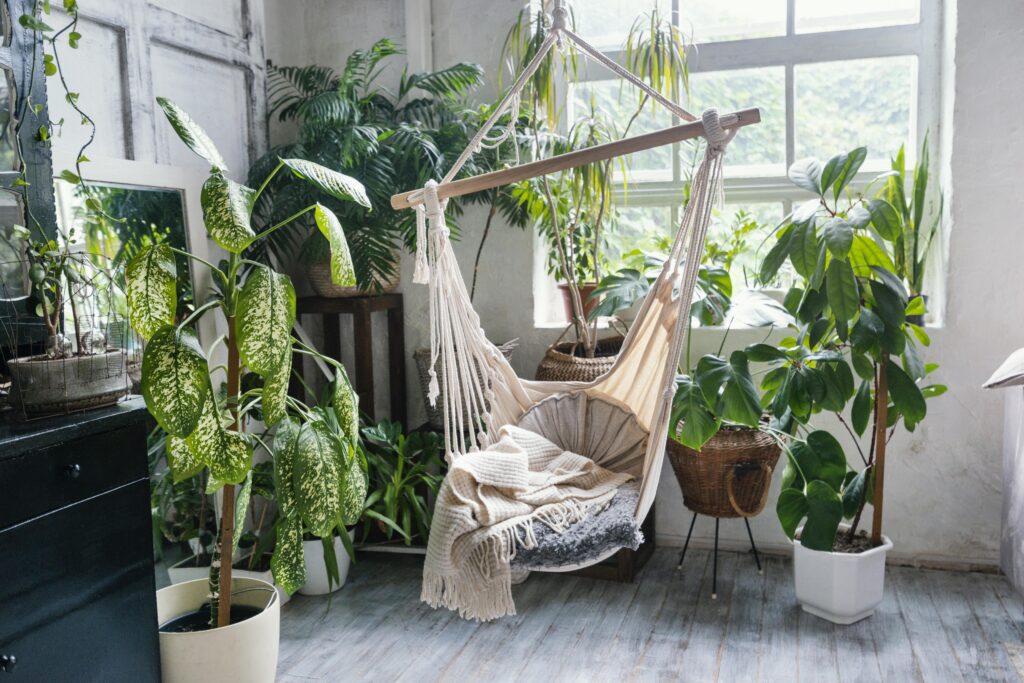 camera cu plante de interior