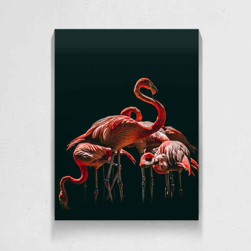 Tablou animale Flamingo Roz- Pepanza.ro