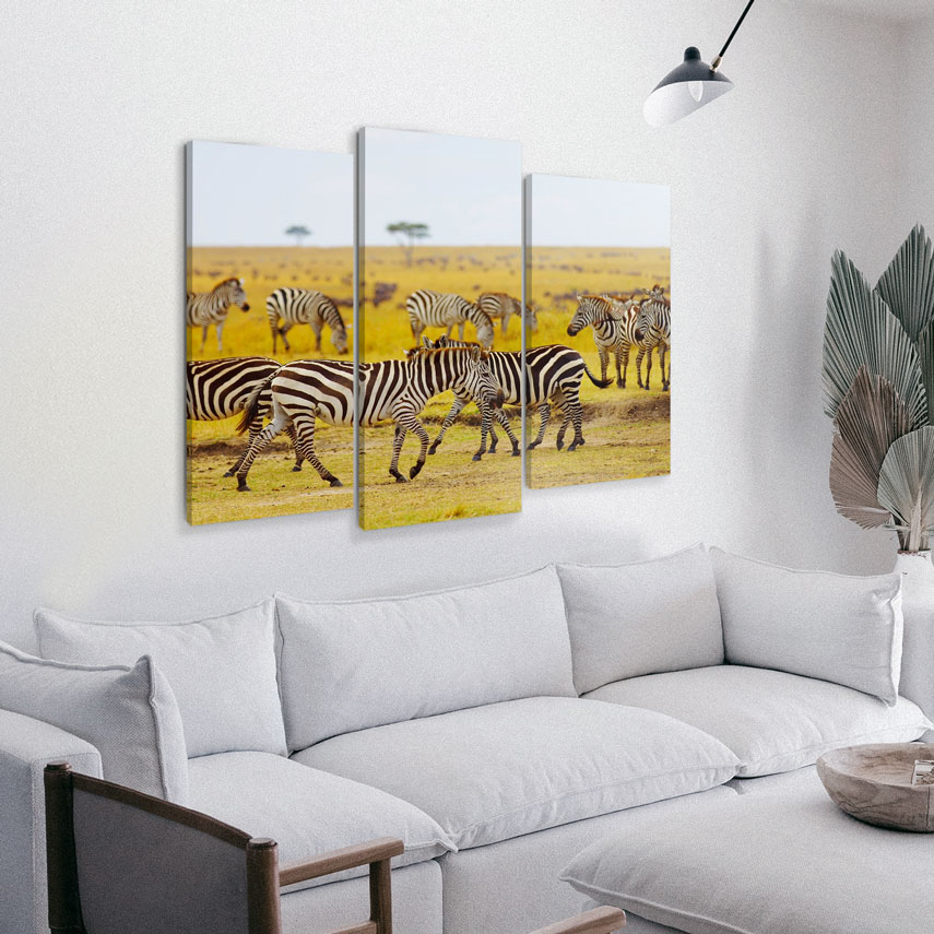 Tablou cu 3 piese Zebre 2 - Pepanza.ro