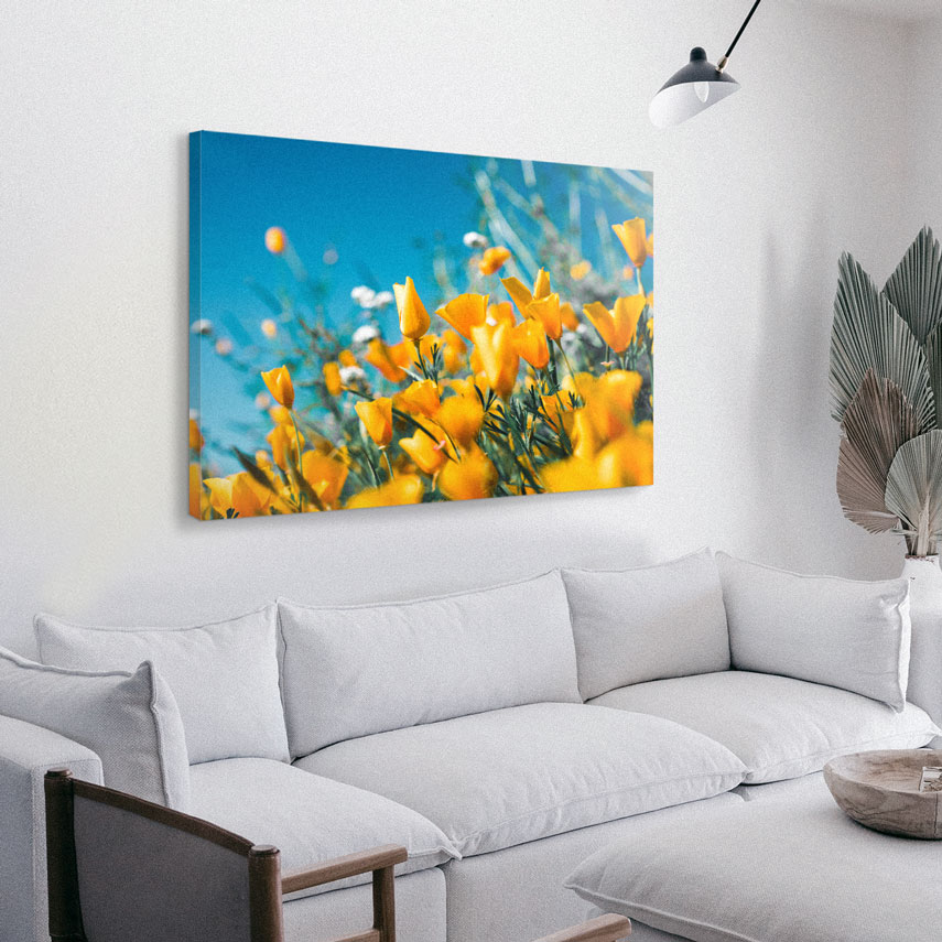 Tablou canvas Lalele galbene 3 - Pepanza.ro