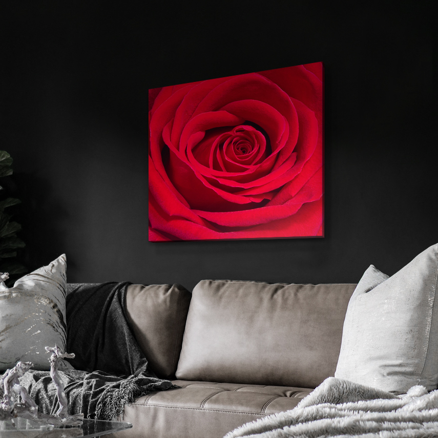Tablou canvas Red Rose 2 - Pepanza.ro