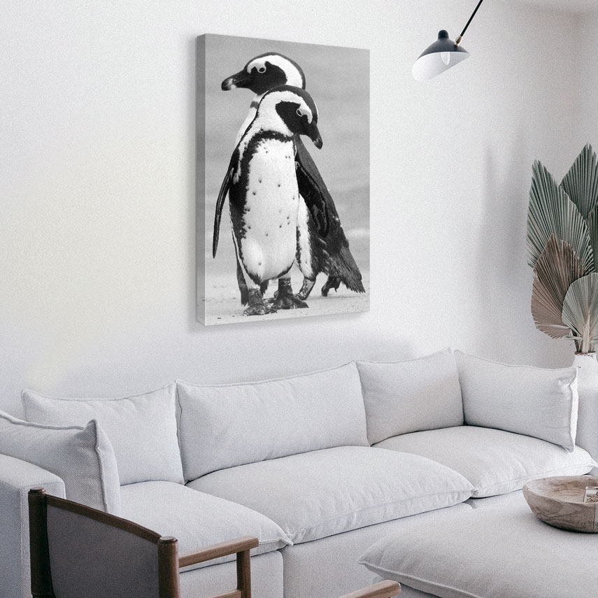 Tablou animale Pinguini 2 - Pepanza.ro