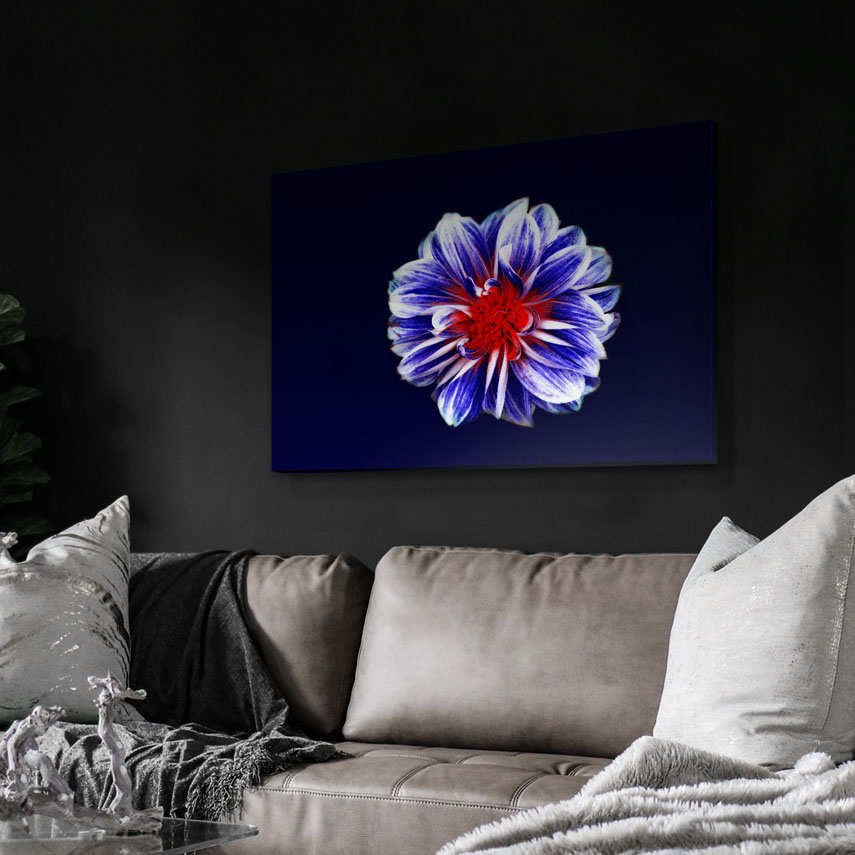 Tablou canvas Floare albastra 3 - Pepanza.ro