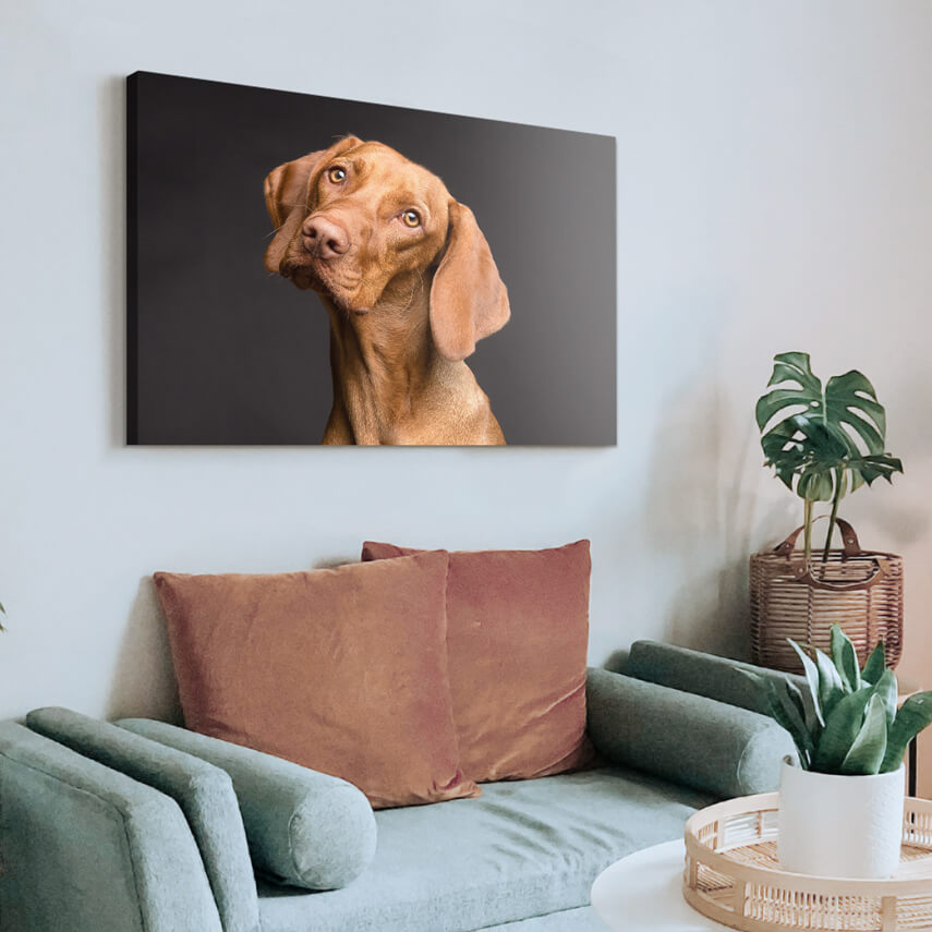 Tablou canvas Cainele Vizsla 2 - Pepanza.ro