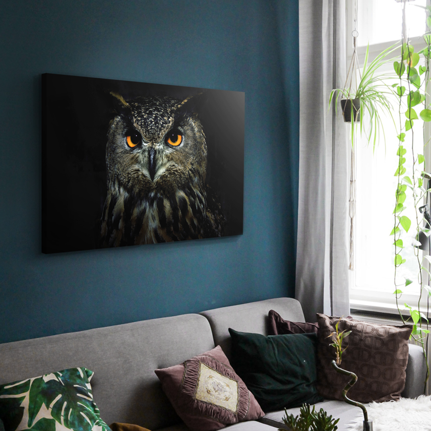 Tablou animale Wise owl 2 - Pepanza.ro