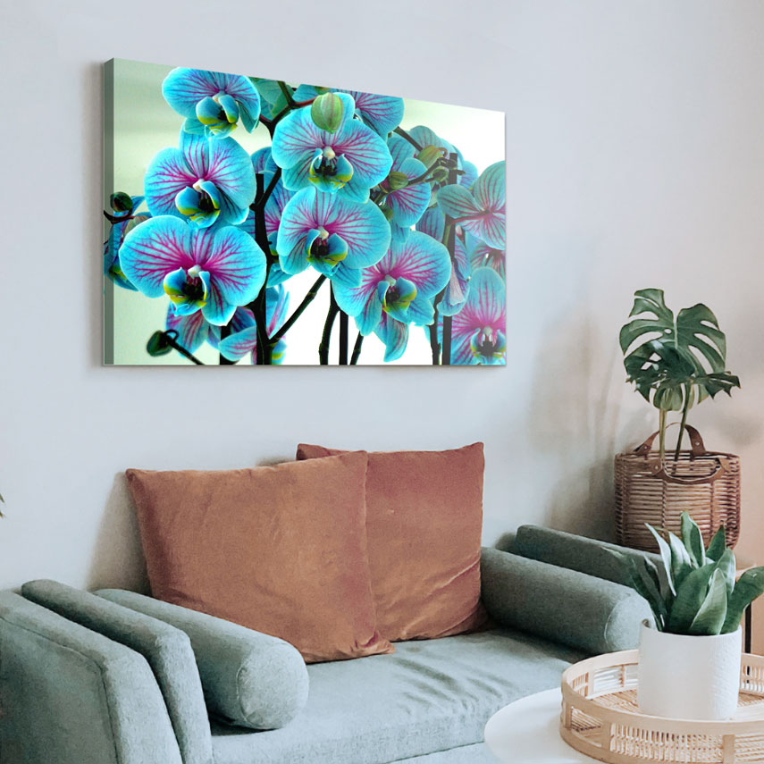 Tablou canvas Orhidee albastra 3 - Pepanza.ro