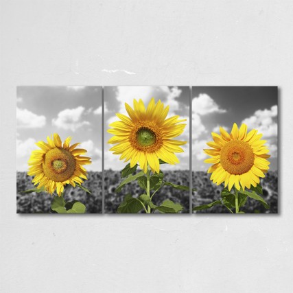 Tablouri Multicanvas - Tablou cu 3 piese Blooming sunflowers - Pepanza.ro